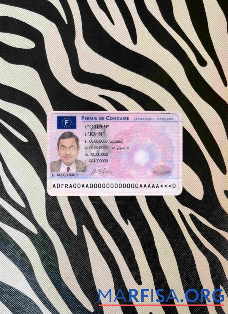 Printable France DL photolook download for verification